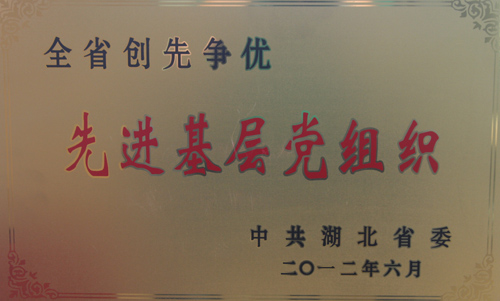 新澳天天开好彩大全